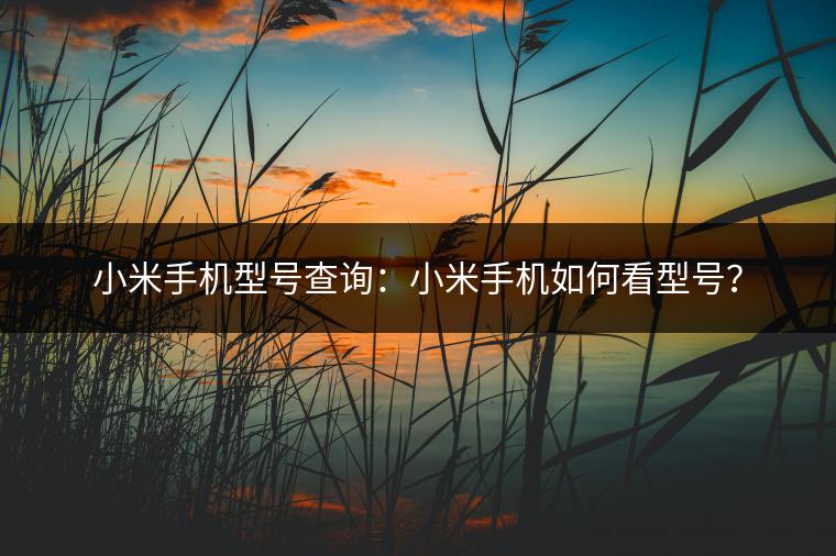小米手机型号查询：小米手机如何看型号？