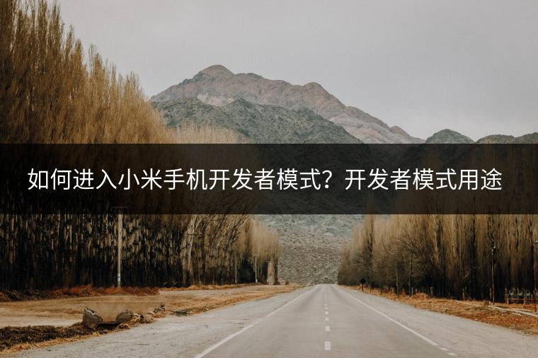 如何进入小米手机开发者模式？开发者模式用途。