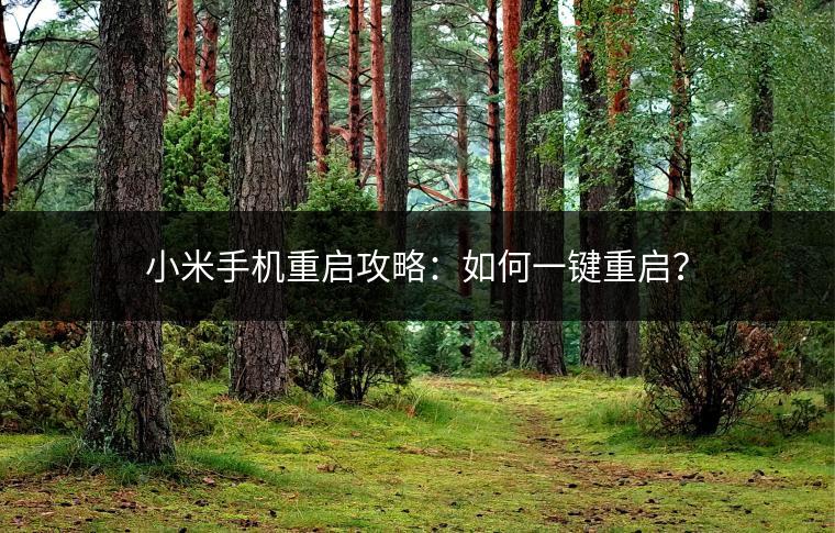 小米手机重启攻略：如何一键重启？