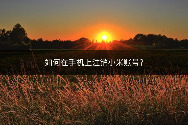 如何在手机上注销小米账号？