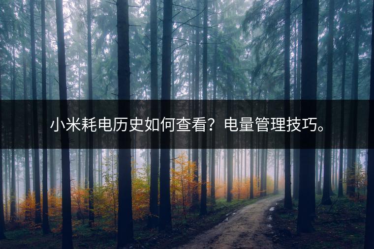 小米耗电历史如何查看？电量管理技巧。