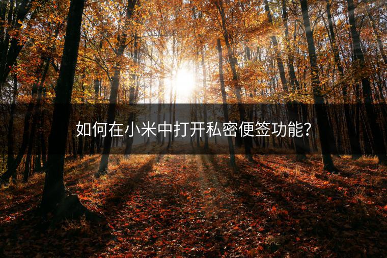 如何在小米中打开私密便签功能？