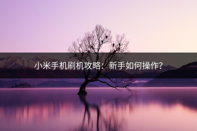 小米手机刷机攻略：新手如何操作？