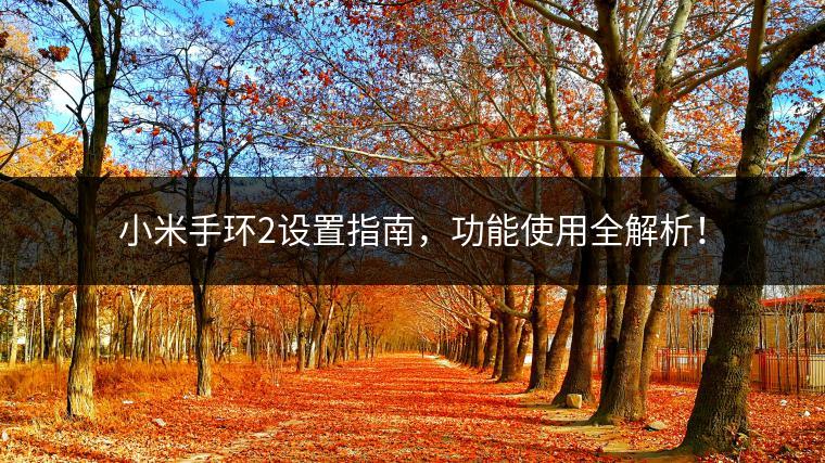 小米手环2设置指南，功能使用全解析！