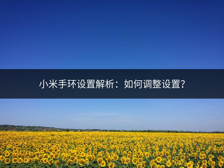 小米手环设置解析：如何调整设置？