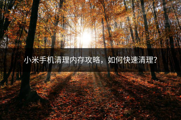 小米手机清理内存攻略，如何快速清理？