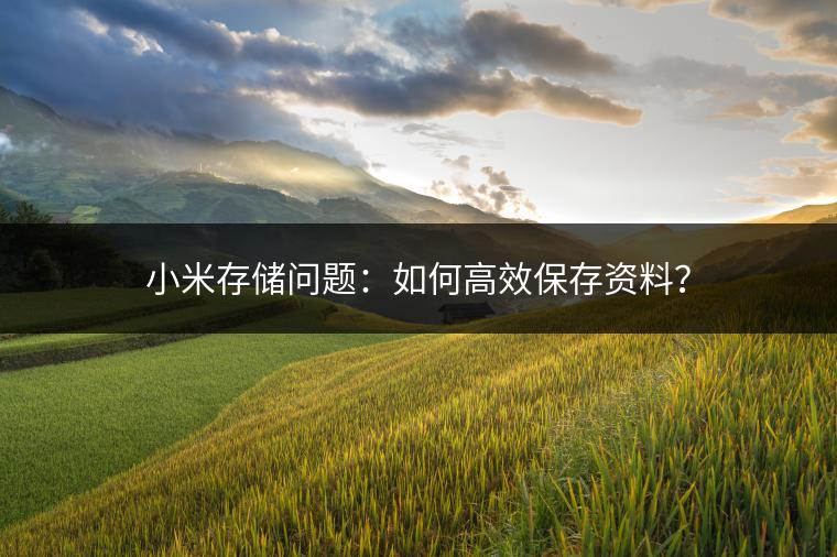 小米存储问题：如何高效保存资料？