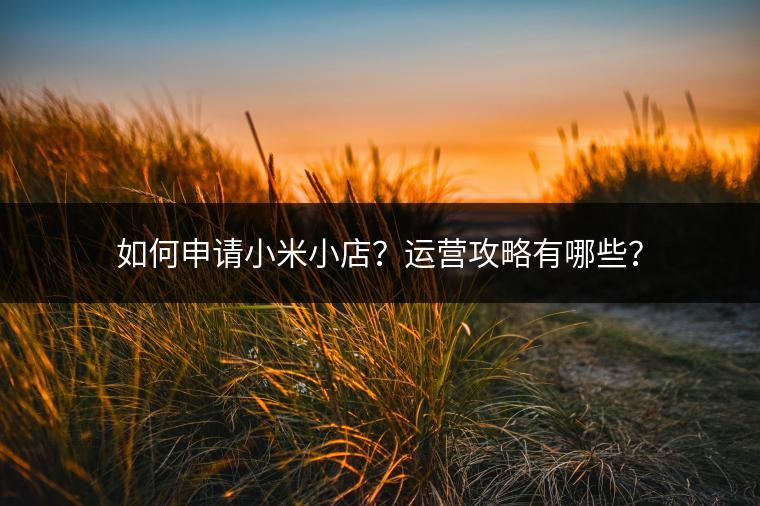如何申请小米小店？运营攻略有哪些？