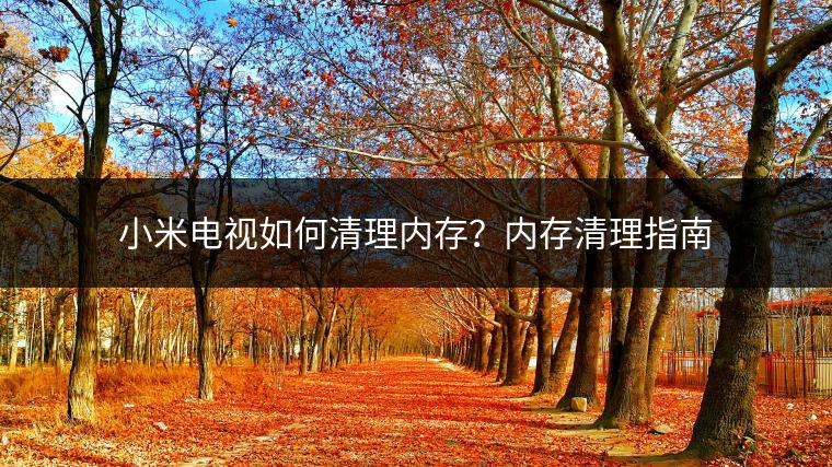 小米电视如何清理内存？内存清理指南