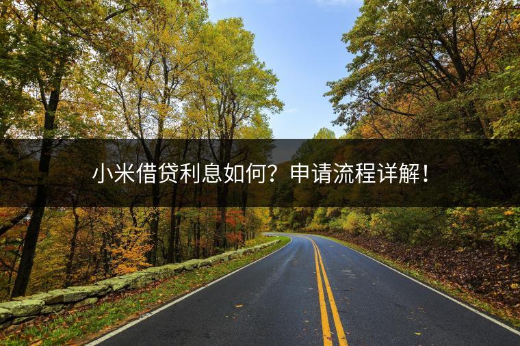 小米借贷利息如何？申请流程详解！
