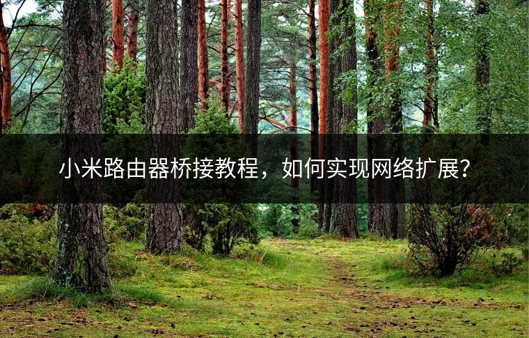 小米路由器桥接教程，如何实现网络扩展？