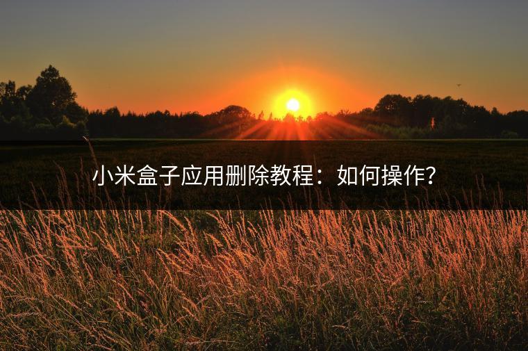 小米盒子应用删除教程：如何操作？