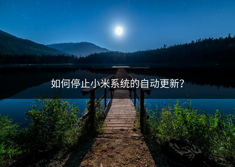 如何停止小米系统的自动更新？