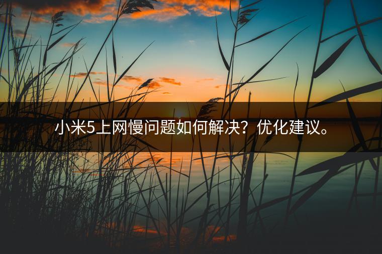 小米5上网慢问题如何解决？优化建议。