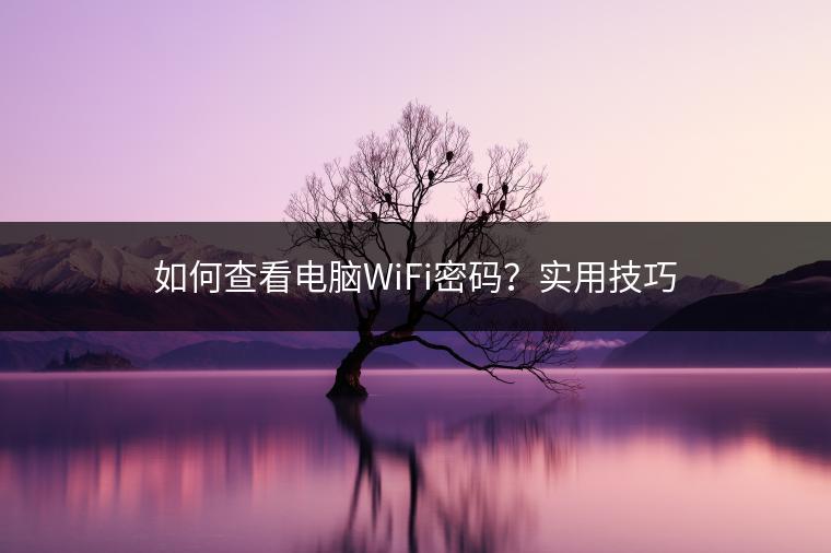 如何查看电脑WiFi密码？实用技巧