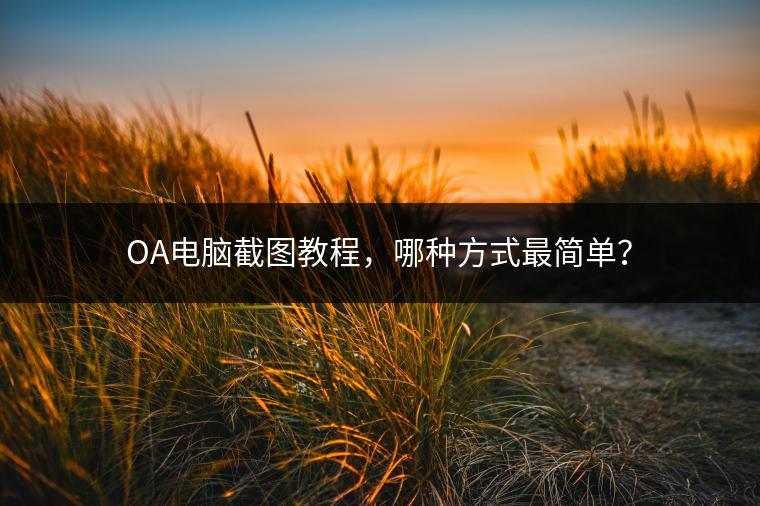OA电脑截图教程，哪种方式最简单？