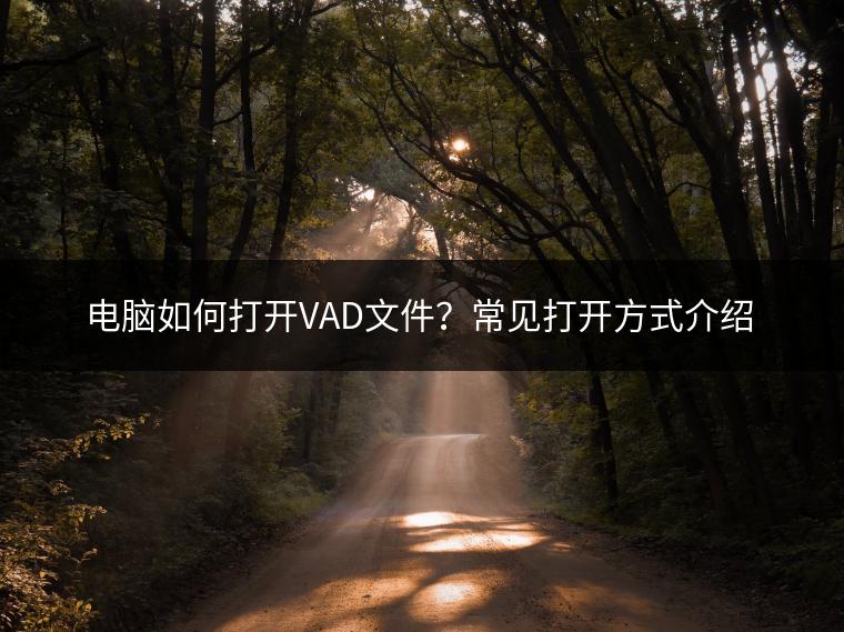 电脑如何打开VAD文件？常见打开方式介绍