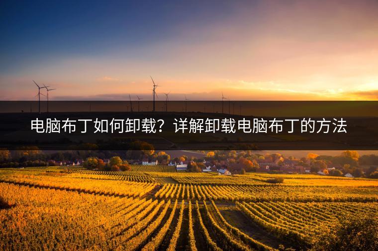 电脑布丁如何卸载？详解卸载电脑布丁的方法