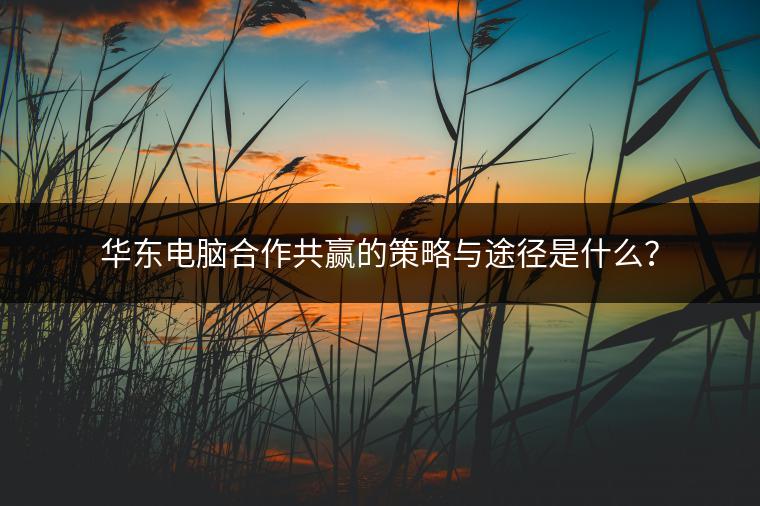华东电脑合作共赢的策略与途径是什么？