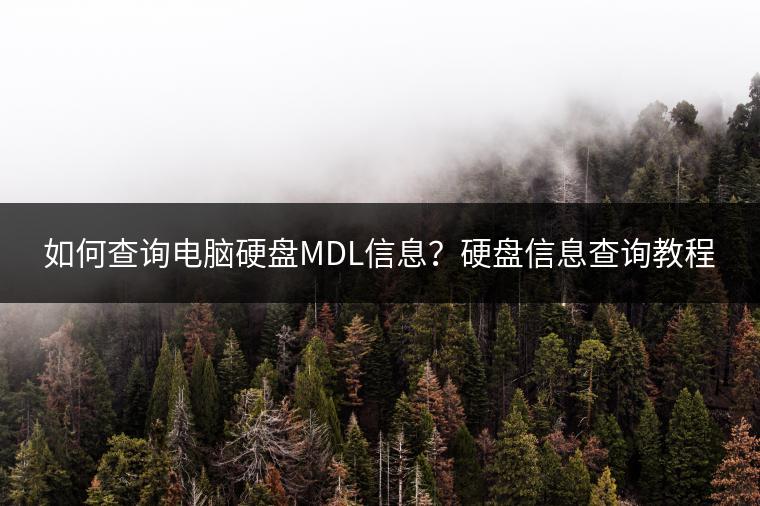 如何查询电脑硬盘MDL信息？硬盘信息查询教程