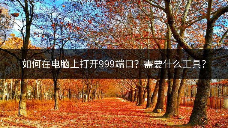 如何在电脑上打开999端口？需要什么工具？