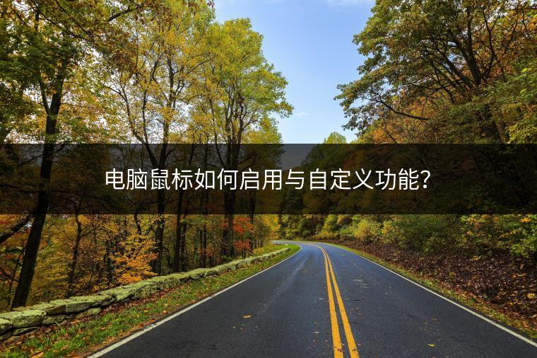 电脑鼠标如何启用与自定义功能？