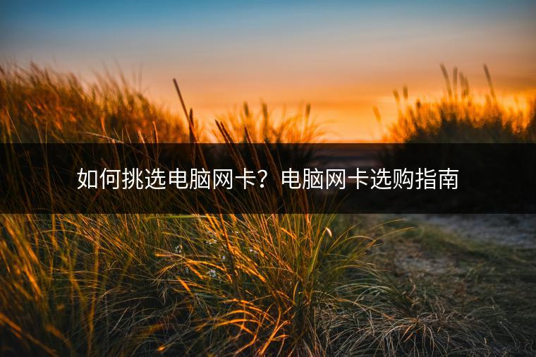 如何挑选电脑网卡？电脑网卡选购指南