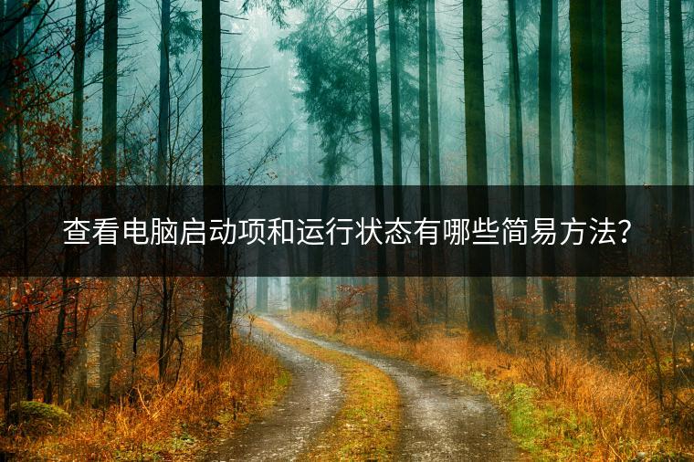 查看电脑启动项和运行状态有哪些简易方法？