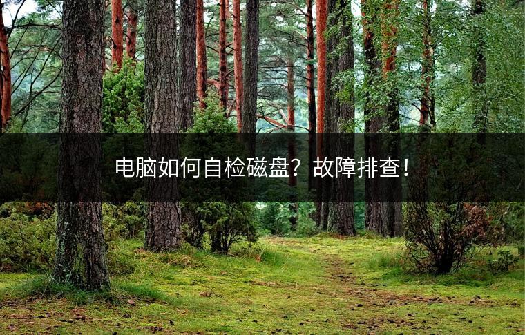 电脑如何自检磁盘？故障排查！