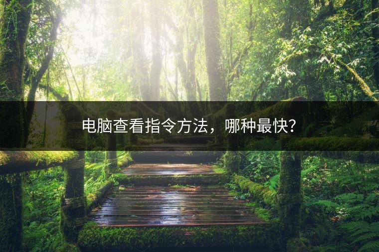 电脑查看指令方法，哪种最快？