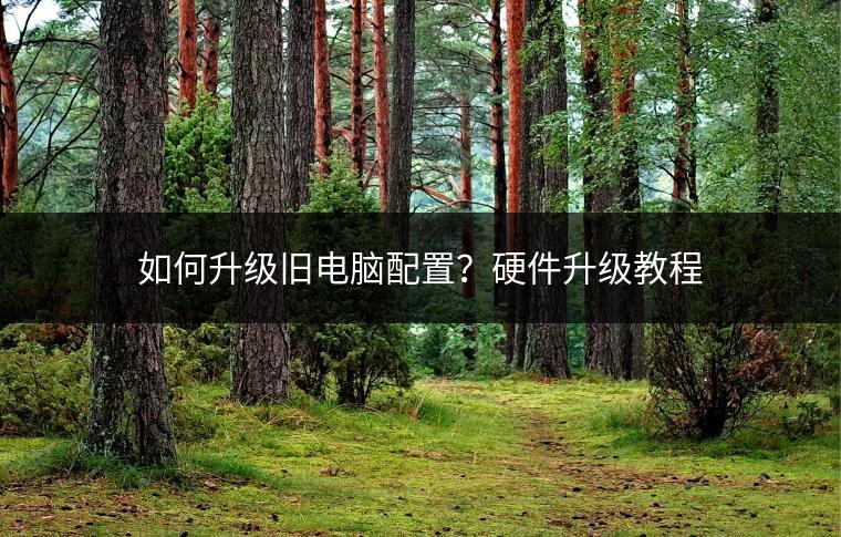 如何升级旧电脑配置？硬件升级教程