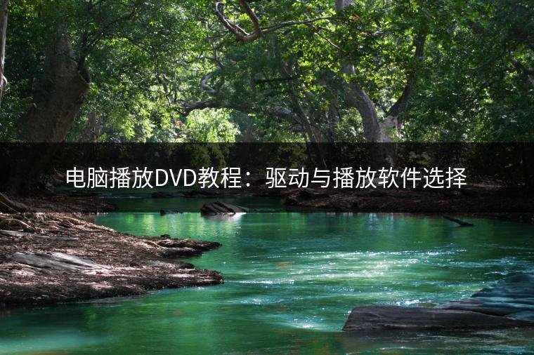 电脑播放DVD教程：驱动与播放软件选择