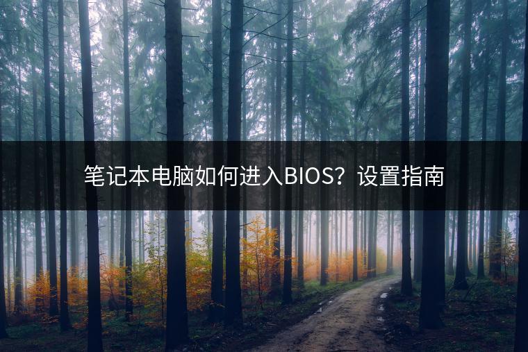 笔记本电脑如何进入BIOS？设置指南