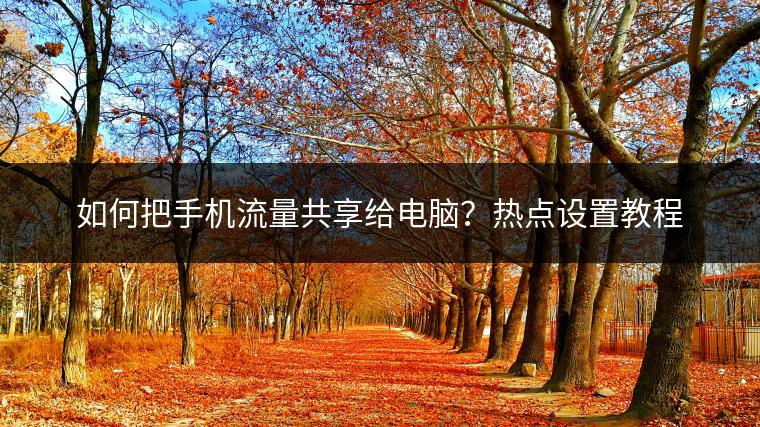 如何把手机流量共享给电脑？热点设置教程