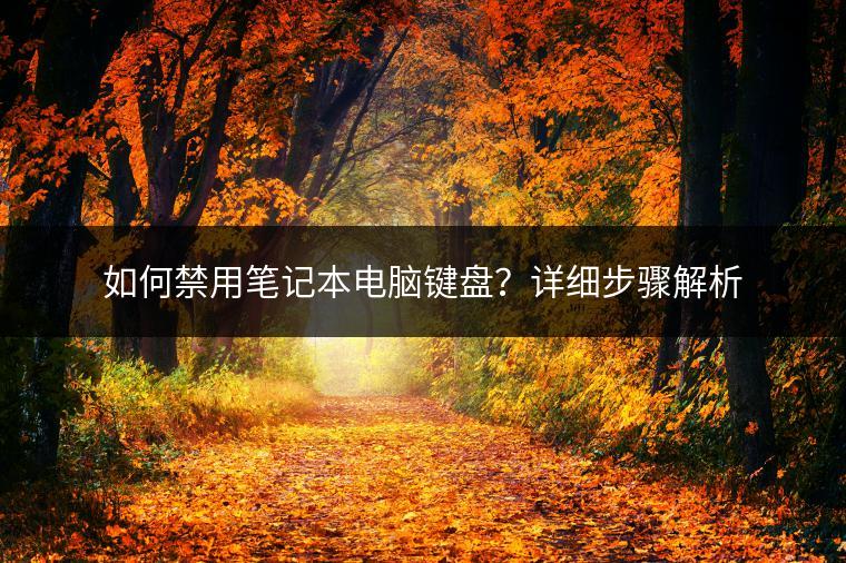 如何禁用笔记本电脑键盘？详细步骤解析