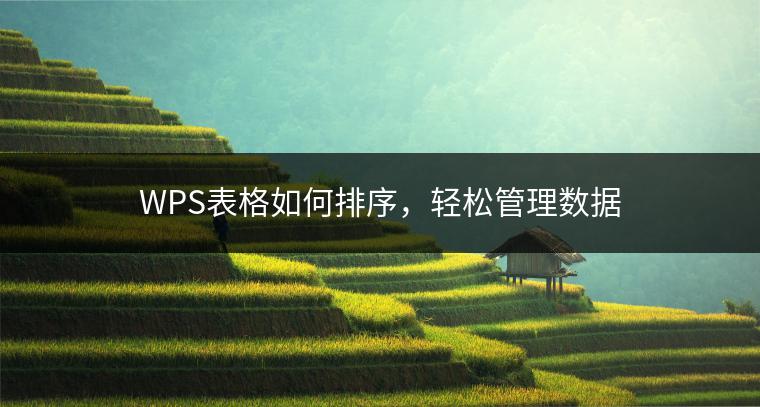 WPS表格如何排序，轻松管理数据