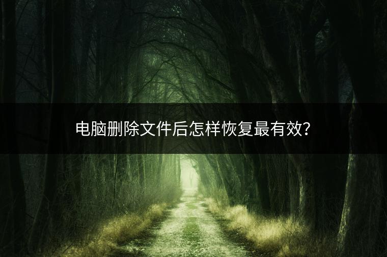 电脑删除文件后怎样恢复最有效？