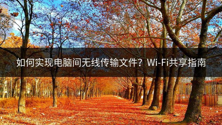 如何实现电脑间无线传输文件？Wi-Fi共享指南