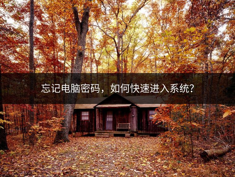 忘记电脑密码，如何快速进入系统？