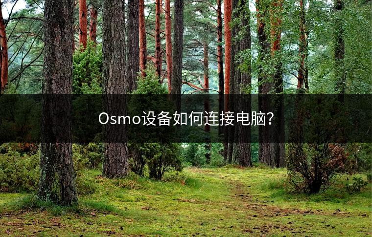 Osmo设备如何连接电脑？