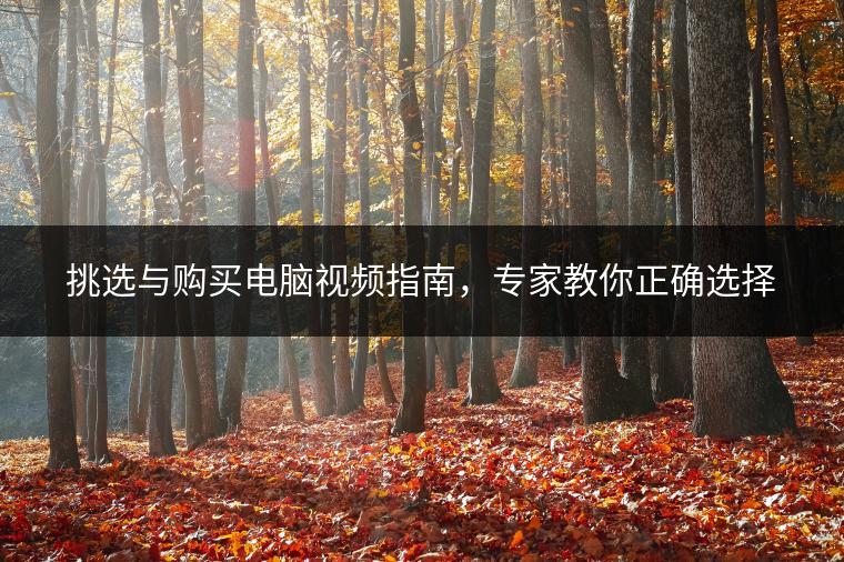 挑选与购买电脑视频指南，专家教你正确选择