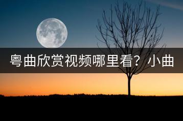 粤曲欣赏视频哪里看？小曲视频又该怎么找？-千羽学社