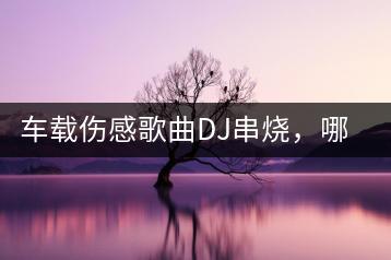 车载伤感歌曲DJ串烧，哪里能找到？-千羽学社