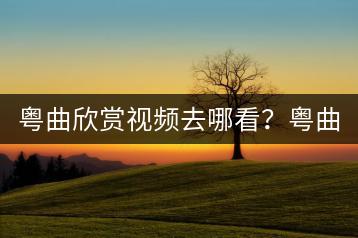 粤曲欣赏视频去哪看？粤曲小曲视频哪里找？-千羽学社
