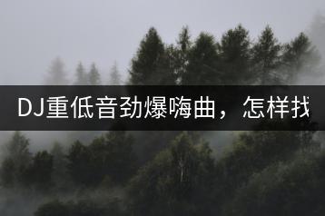 DJ重低音劲爆嗨曲，怎样找到？-千羽学社