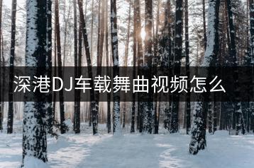 深港DJ车载舞曲视频怎么找？有哪些推荐？-千羽学社