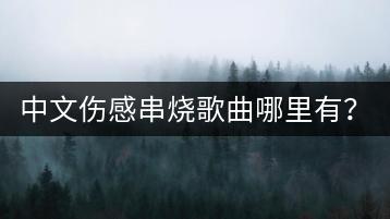 中文伤感串烧歌曲哪里有？怎样在线试听？-千羽学社