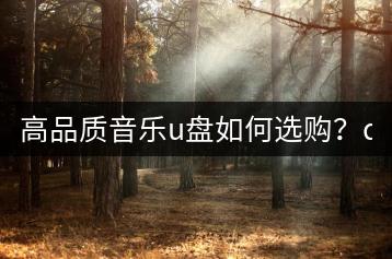 高品质音乐u盘如何选购？dsd音乐文件有多大？-千羽学社