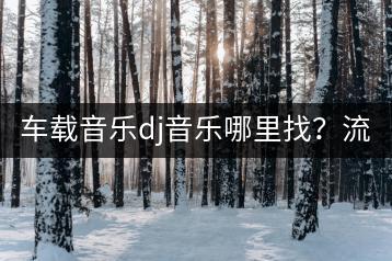 车载音乐dj音乐哪里找？流行dj车载u盘如何选择？-千羽学社