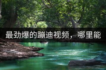 最劲爆的蹦迪视频，哪里能看？-千羽学社